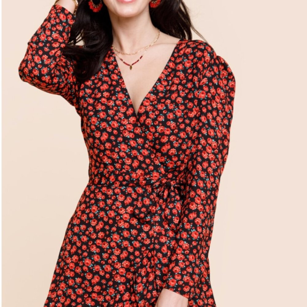 NWT Francesca's Mi Ami Rose Print Faux-Wrap Mini Dress